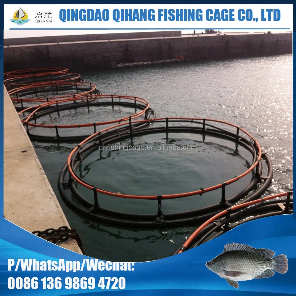 Buy Premium deep sea fishing cage For Fishing 