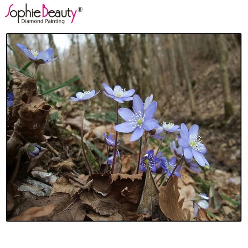 Modern Style Fashion Three-Dim