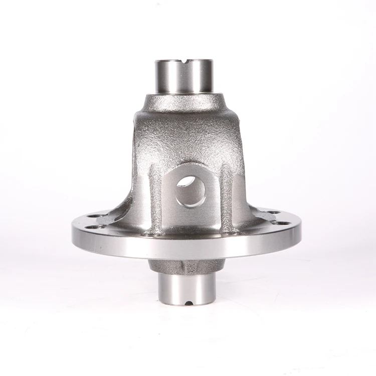 Factory Sale Various High Quality Rear Axle Differential Housing Side