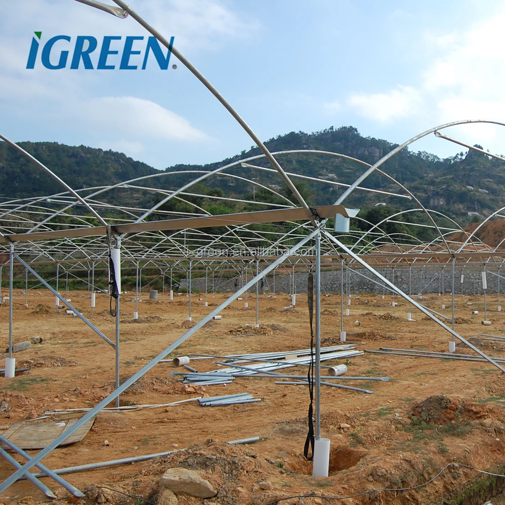 Cheap Multi Tunnel Greenhouse Buy Galvanized Steel Frame Greenhouse