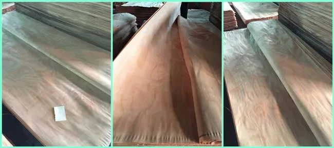 AB Grade Rotary Cut Natural PLB Wood Face Veneer For Plywood