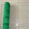 Cucumber Plant Support Net for Agriculture - Greenhouse, Shade Net House