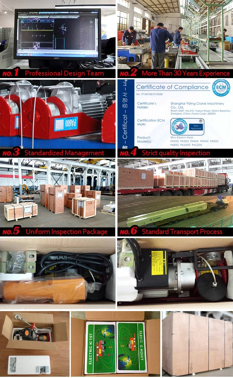 3m Good Quality 250kg electric hoist