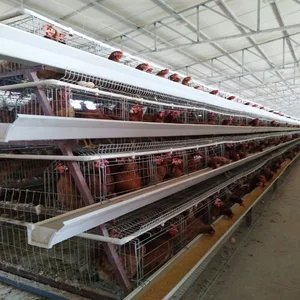Chick Feed Trough Chick Feed Trough Suppliers And Manufacturers