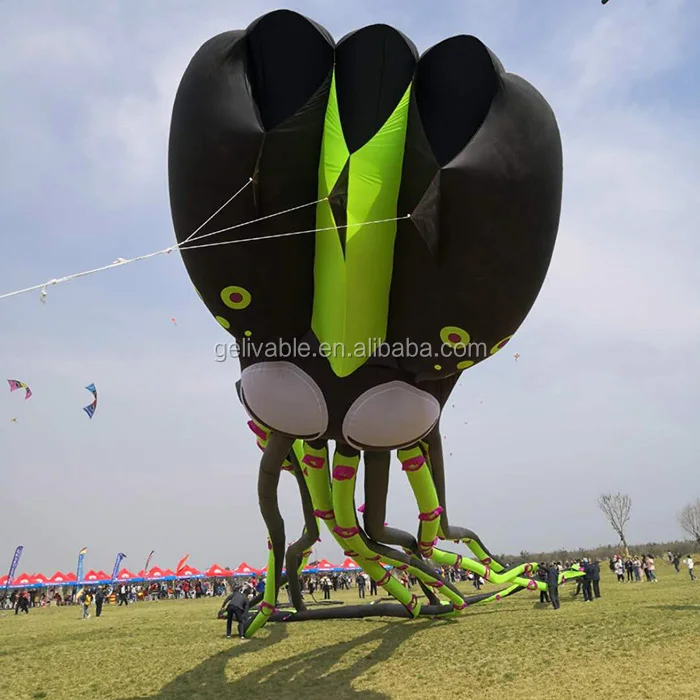 octopus kite  (1).jpg