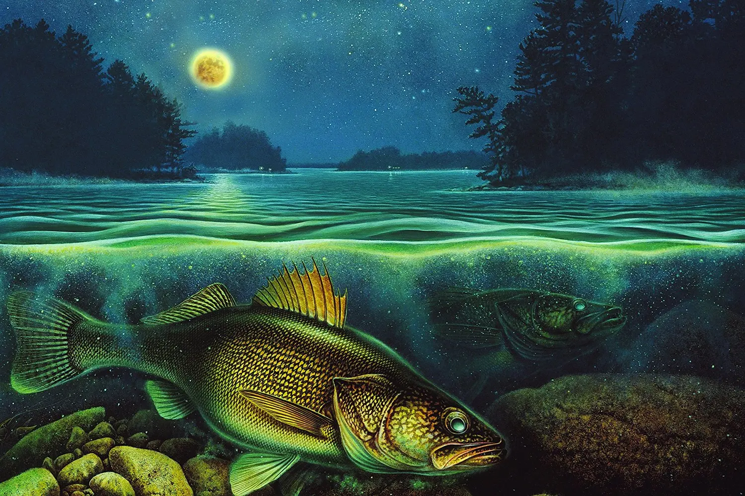 Город рыба 6. Картина рыбы. Ночные рыбы. Рыба арт.