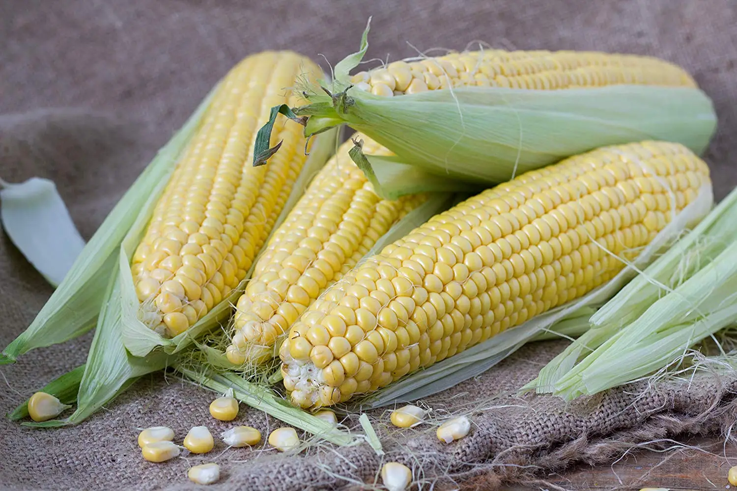 15 Seeds//Pack Fruit Corn Seed Red Zea Mays Maize Organic Original Pack B011
