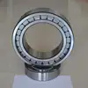 Double Row Full Complement Cylindrical Roller Bearing CPM2841