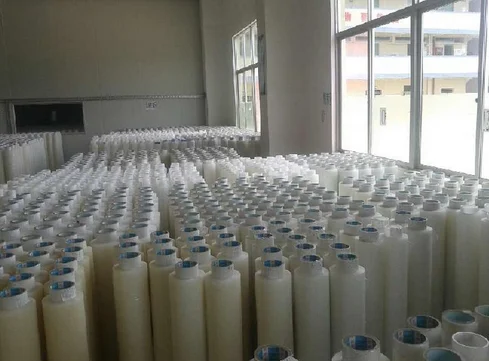 PE protect film Jumbo