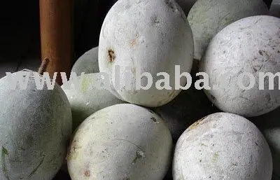 winter melon, white gourd, ash gourd