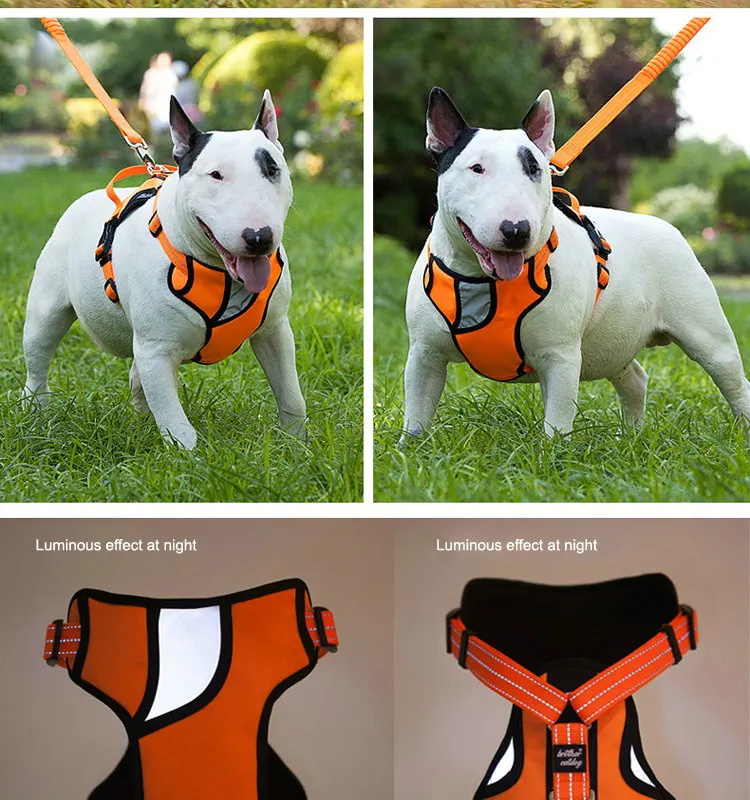 Reflective Outdoor Dog Pulling Training Harness Dog Harness Custom