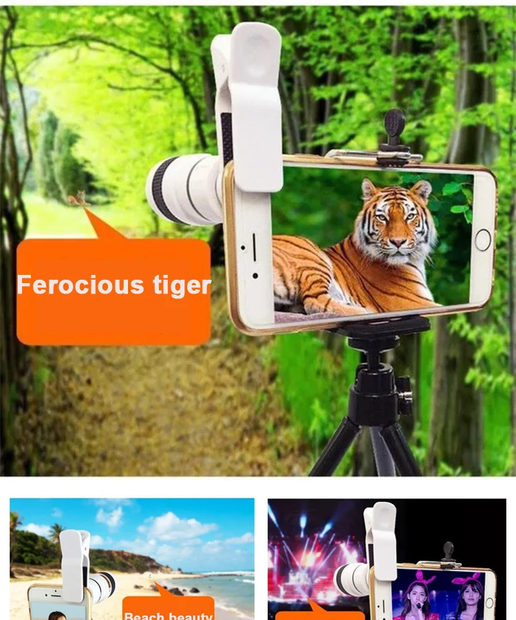 effect pictures1.jpg