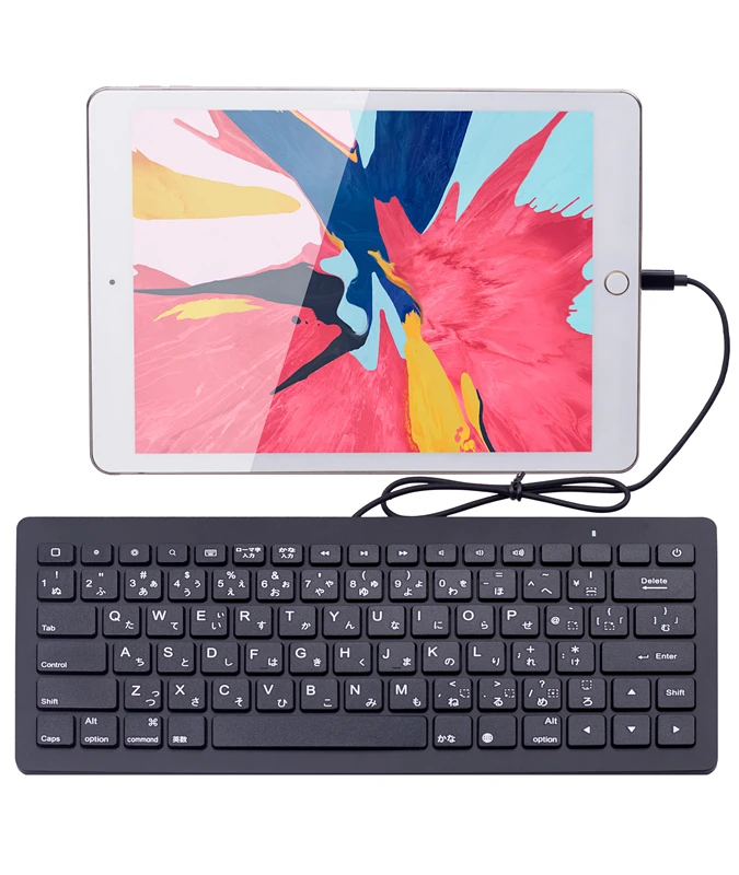 

2019 Private model wired 8 pin lightning keyboard for iPad iPhone, Black/white
