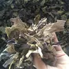 High Quality Organic Dried Lotus Flower Slices Herbs dried lotus