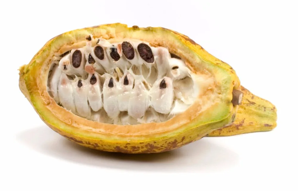 
Best african edible pure natural cocoa butter ingredients price 