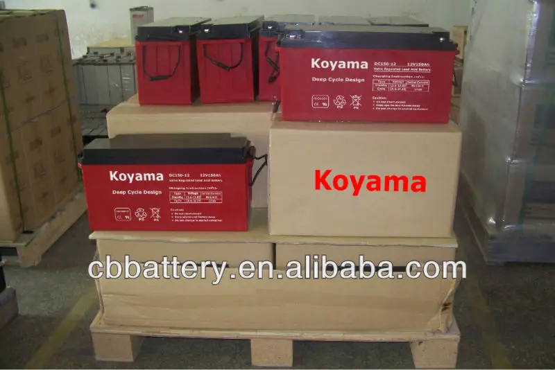 acutal batteries 1.jpg