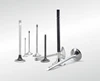 2017 Stock Stainless steel ENGINE VALVE Titanium INTAKE VALVE EXHAUST VALVE