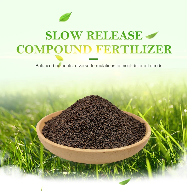 Balanced Slow Release Turf Fertilizer Npk 10010 Buy Balanced Slow