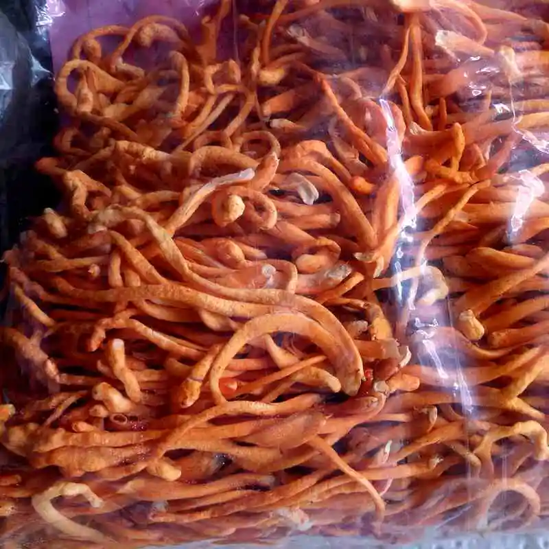 
Detan Cordyceps Militaris Mushroom Packaging 
