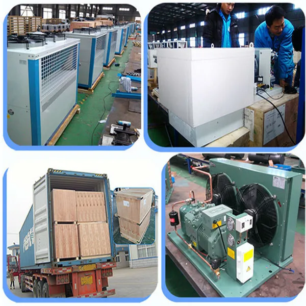 Freezer Compressor Cold Room Bitzer Condensing