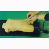 BIX-L3218 Clinical child femoral vein and artery puncture study model
