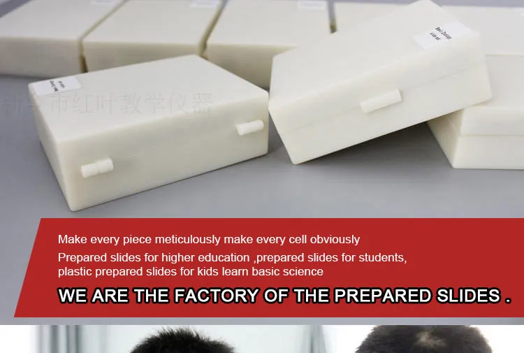 012 Entomology series microscope slides.jpg