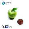 Apple extract apple polyphenols and apple phloridzin