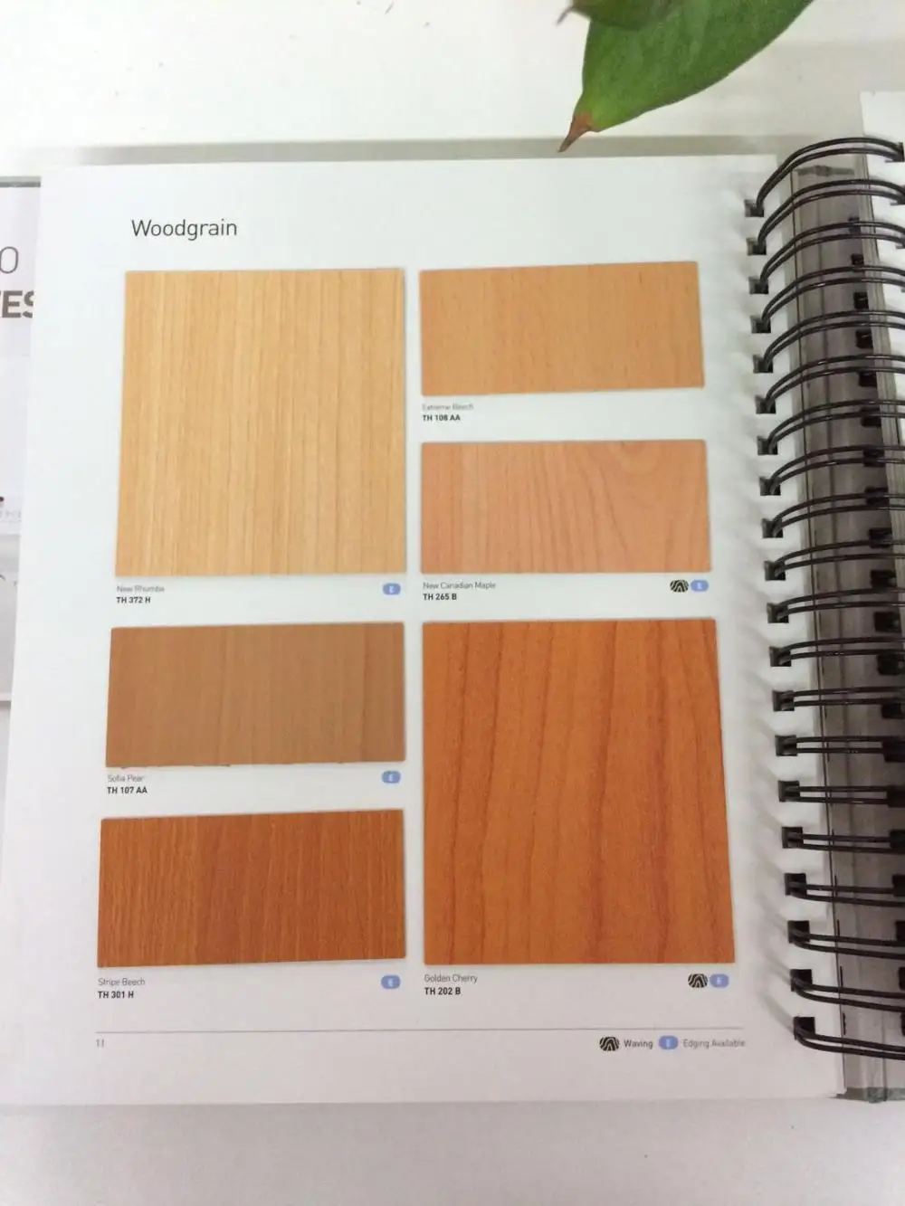 Laminates Sample Catalog Display Book Buy Brochure,Laminate Catalog