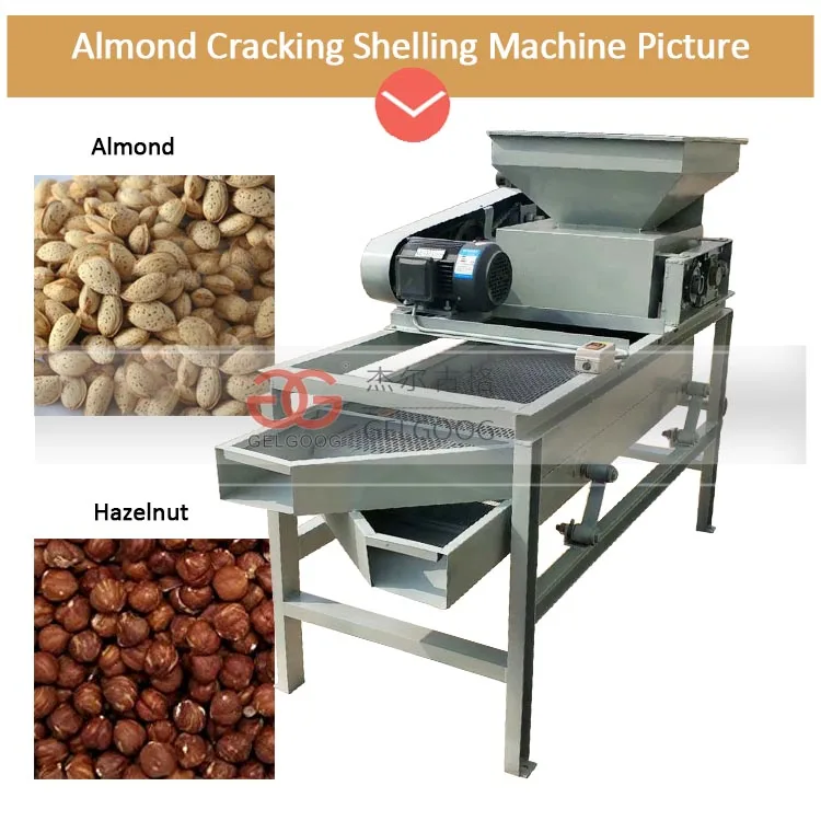 Almond Grader,Cracker,Peeler Machine/almond Cracker/almond Cracking