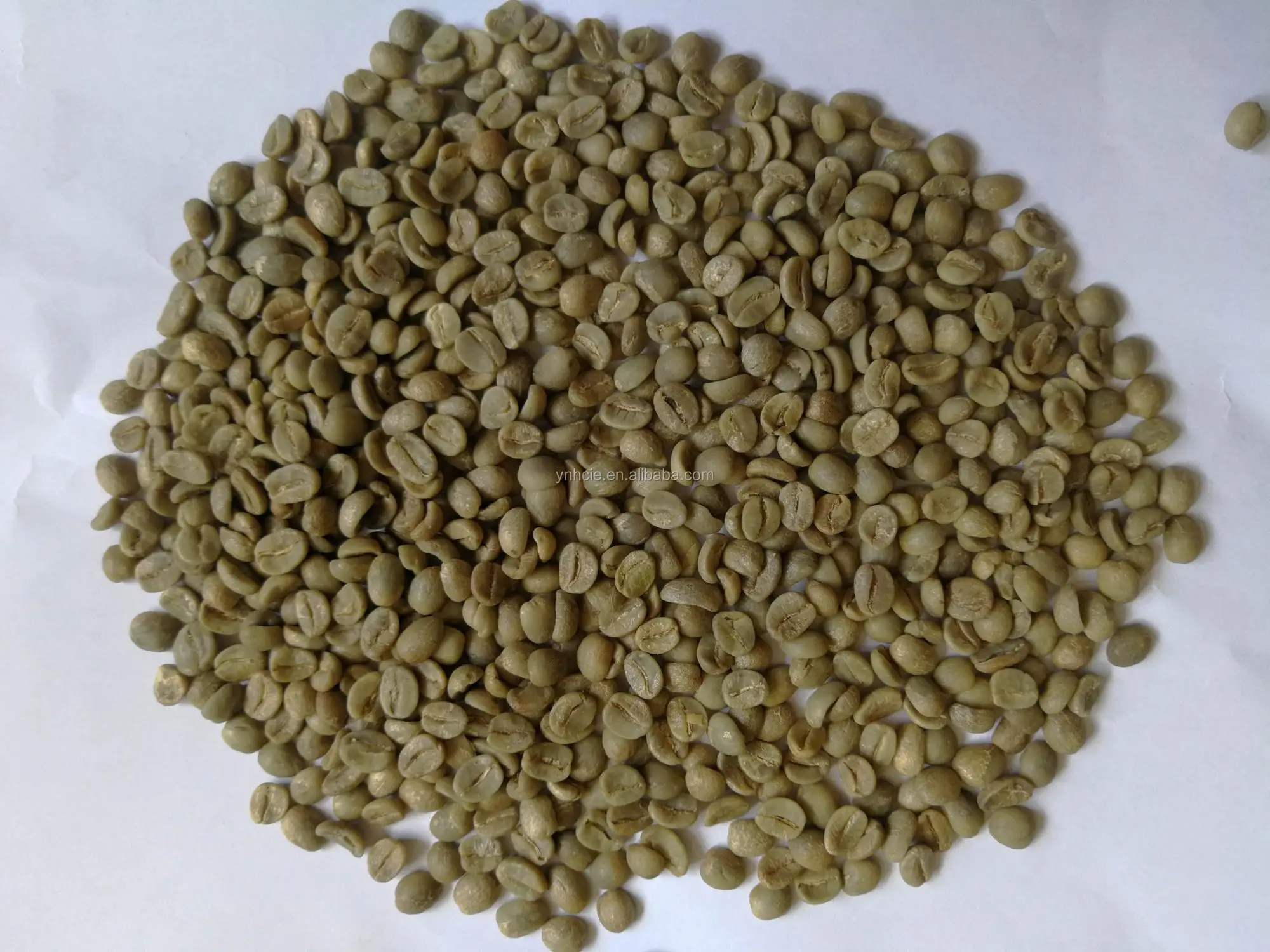 Chinese yunnan arabica washed green coffee beans,Grade AA,screen 17-18