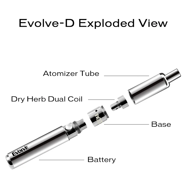 Evolve-D_04.jpg