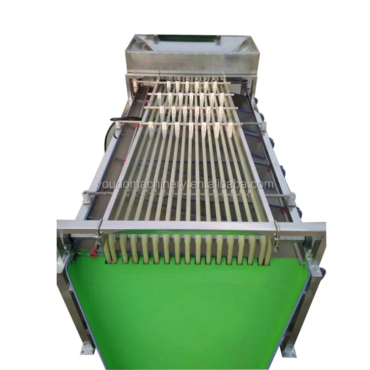 sorting machine (7).jpg