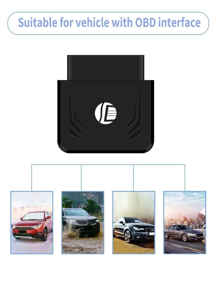 -OBD_03 (2).jpg