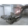Fish,Shrimp and Meat Ice Coating Machine/Fish Ball Ice Glazing Machine/Fish Fillet Ice Glazing Machine