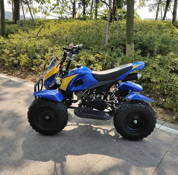 mini quad bike 50cc