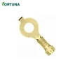China OEM Bronze Auto Ring Terminal with TS16949