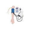 Human arm medical model blood pressure measurement student training model medical school teaching model for sale