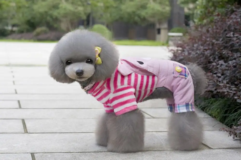 Hot Sale Lovely Striped Puppy Clothes