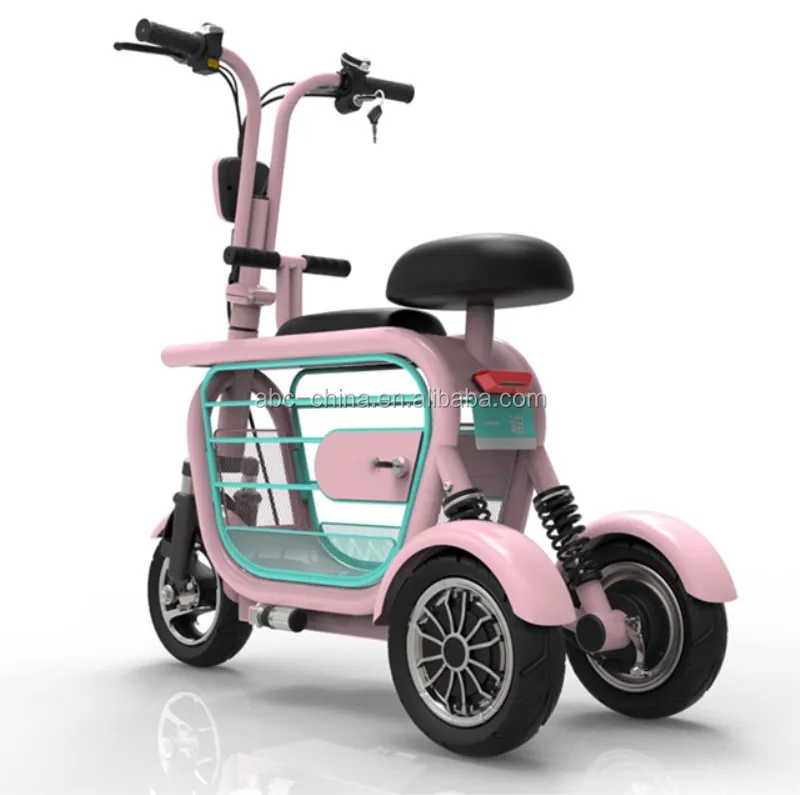 Hot Sale Adult 3 Wheel Foldable Electric Mobility Scooter Bike With Pet