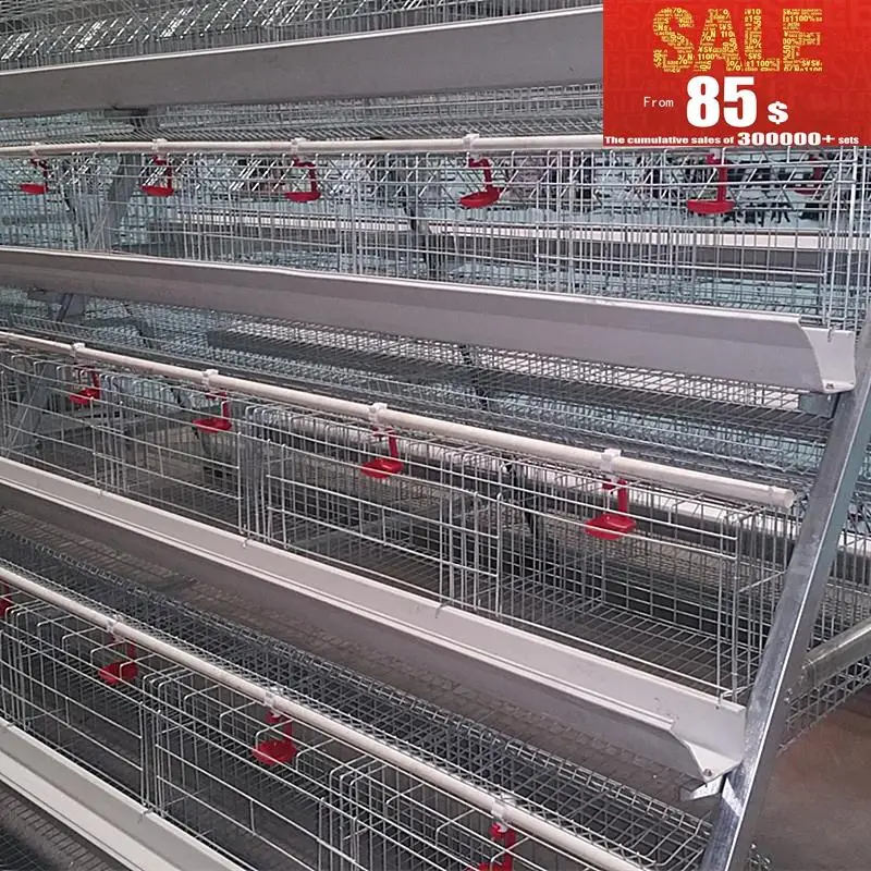 Poultry House For 10000 Chickens Buy Commercial Chicken Houses