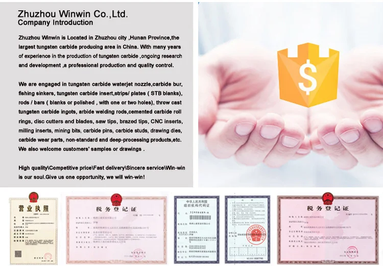 company info.jpg
