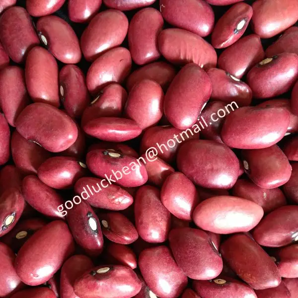 beans import