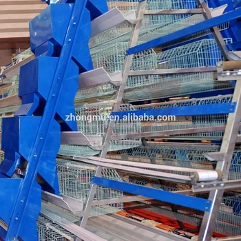 Poultry In Ghana Chicken Cages For Sale Buy Poultry In Ghana Chicken Cages For Saledesign Layer Chicken Cageslayer Chicken Battery Cage Product On