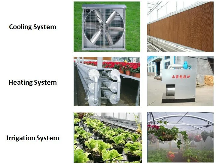 greenhouse optional system.jpg