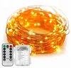 Trade Assurance Christmas Decorative LED Lights with Battery Box Operation