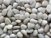 Natural River Stone