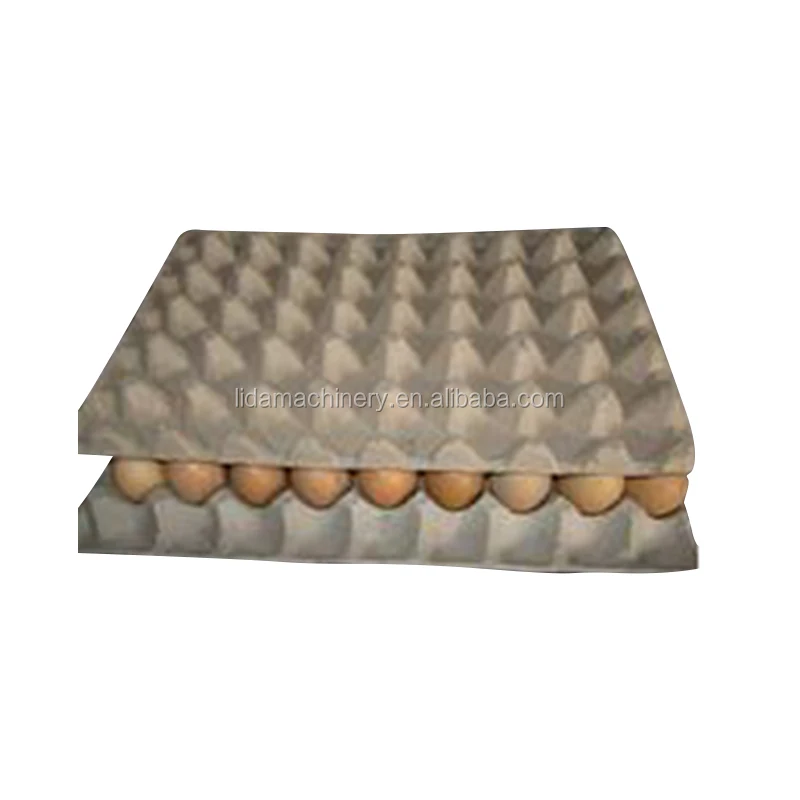 egg tray 02.jpg