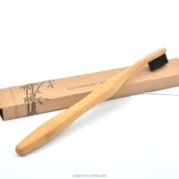 

Eco-friendly Biodegradable Bristles Organic Natural Bamboo Toothbrush