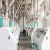 PLC control process wheat 200T/24H automatic flour mill price