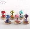 preserved hydrangea flower wholesale natural flowers from China